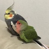 hiro happy