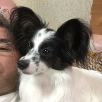 篠原 ルナ