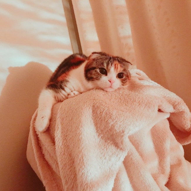 みゆぐるとのカバー写真