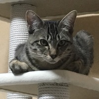 ミキティー