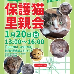 しゃー猫家ねこ譲渡会 サムネイル1