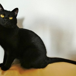 怖い夢を見たら