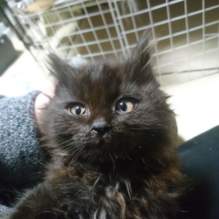 ありがとうございました！