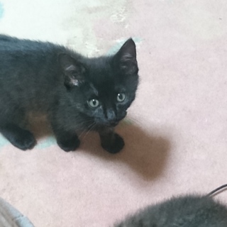 ありがとうございました！