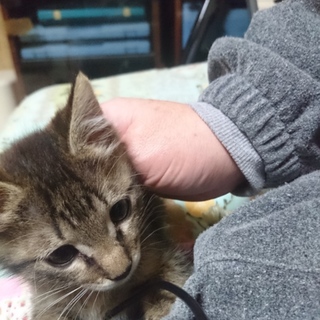 ありがとうございました！