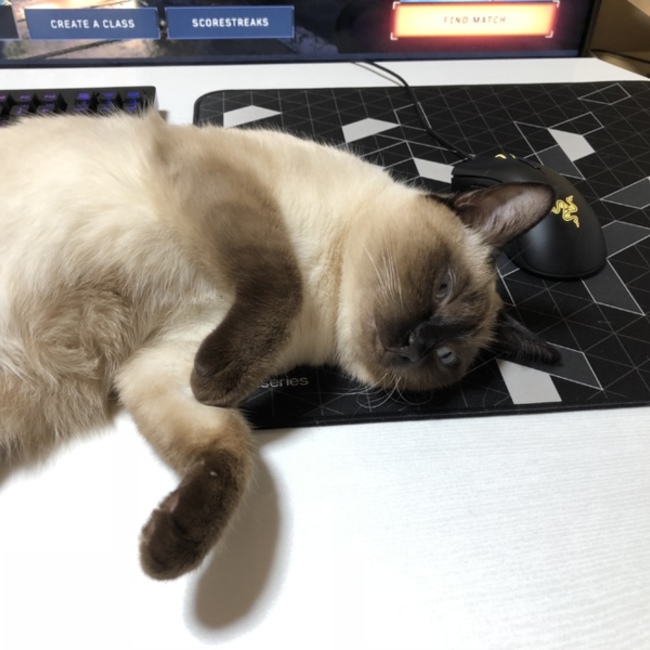 ぽわぽわたんのカバー写真