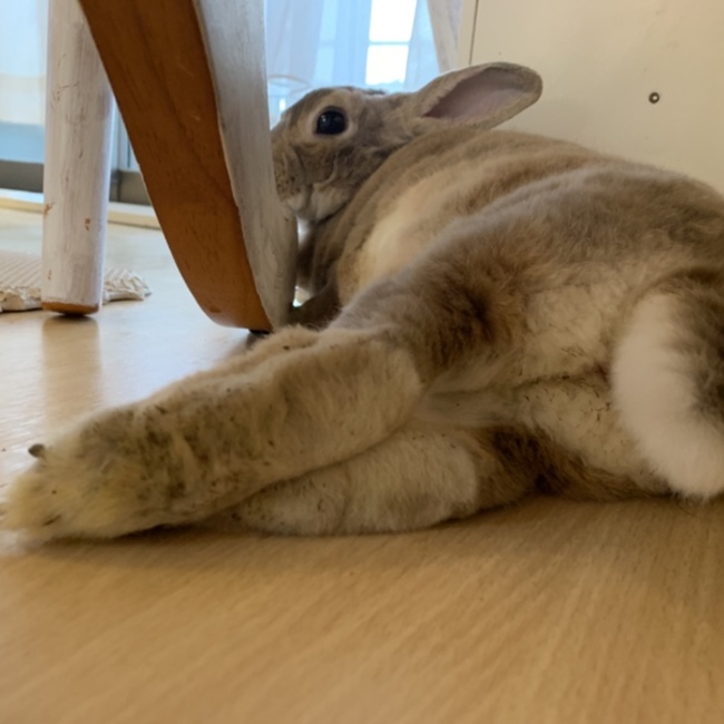 Riraのカバー写真