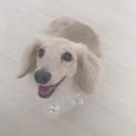 とっても人懐っこい美人ちゃん。