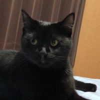 くうちゃん