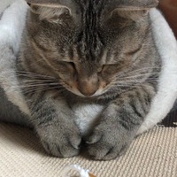 しーちゃん