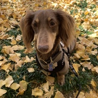 Oliver