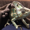 ヒサノ