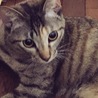 はゆまる