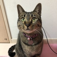 むぅ