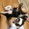の写真