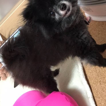 ぼさぼさ