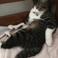 たまご