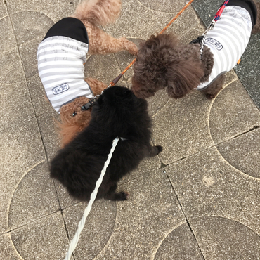 おともだち