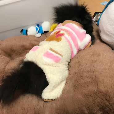 もこもこ