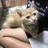 の写真