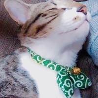 ラテ