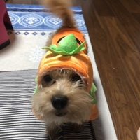 りん