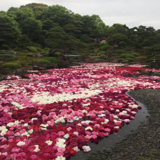 トイマンテリアのカバー写真