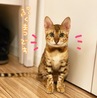 の写真