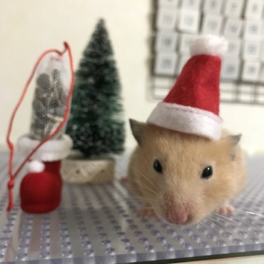 メリークリスマス