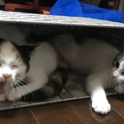 ふたりはいっしょ♡