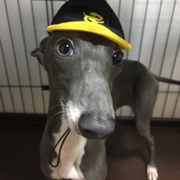 ルビー