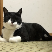 なん