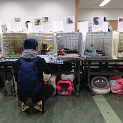 なんとなくいい話