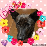 kukulu（ククル）