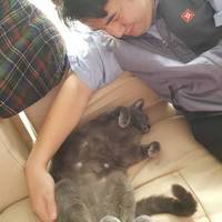皆藤 レグ