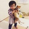 人間大好き❣️甘えん坊❣️りんご猫に救いの手を‼️ サムネイル2