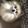 年寄り。