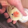 プーさん甘ったれです♡