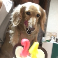 てん