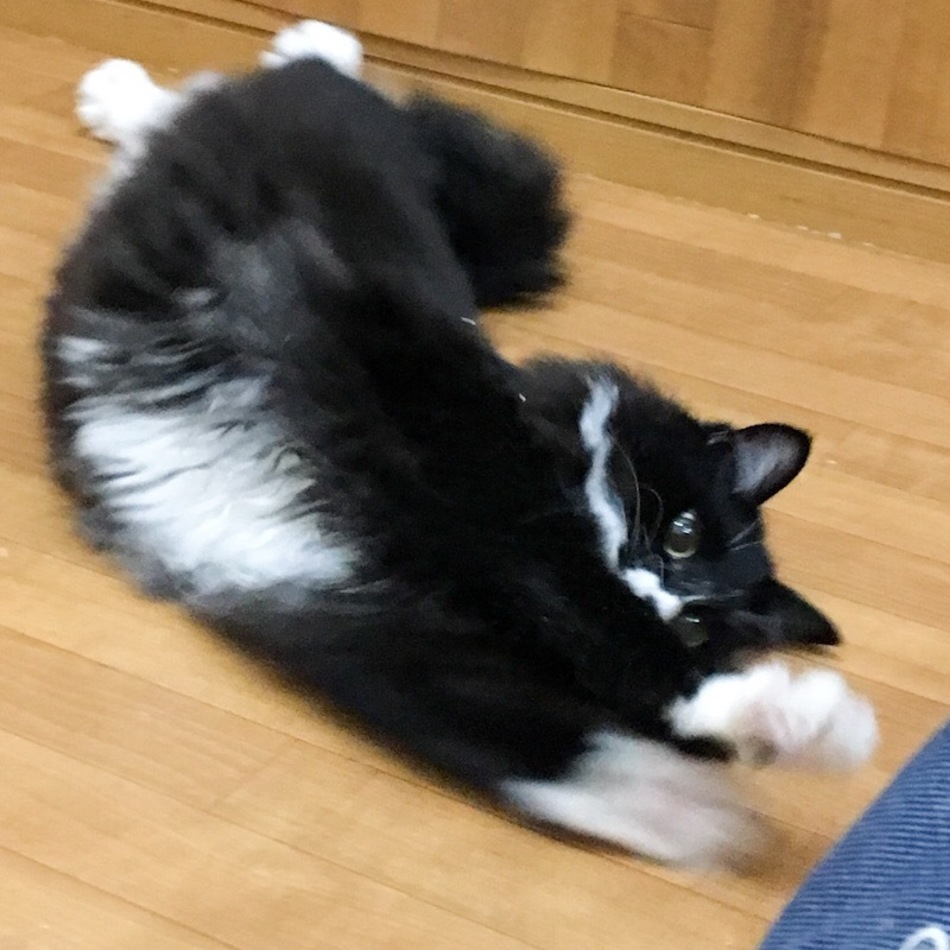 そでおのカバー写真