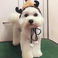 杉村 麦