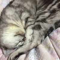 うらら