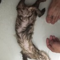 良い家族に出会えました！