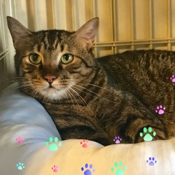 「奇跡の生還　」サムネイル2