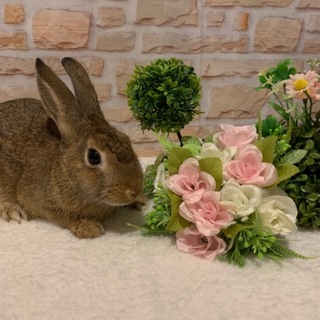 ありがとうございます。優しい方にお迎え頂きました。