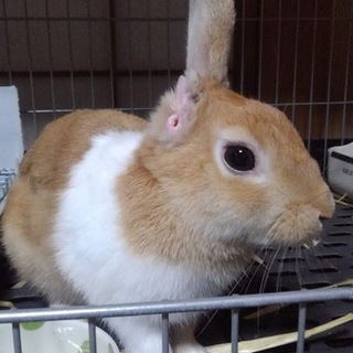 ありがとうございます。優しい方にお迎え頂きました。