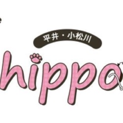 12/12(土)平井・小松川Shippoの会 里親会開催！！＠江戸川区北葛西 サムネイル3
