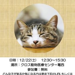 12/12(土)平井・小松川Shippoの会 里親会開催！！＠江戸川区北葛西 サムネイル1
