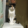 の写真