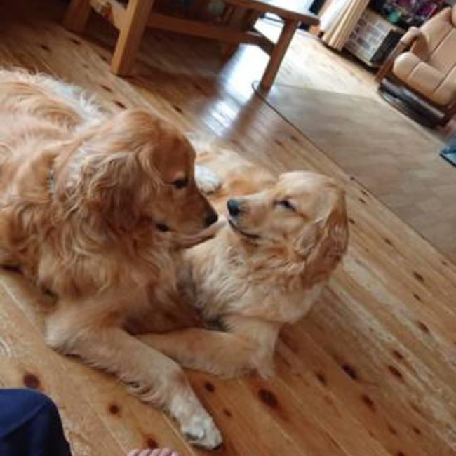 なーちゃん777のカバー写真